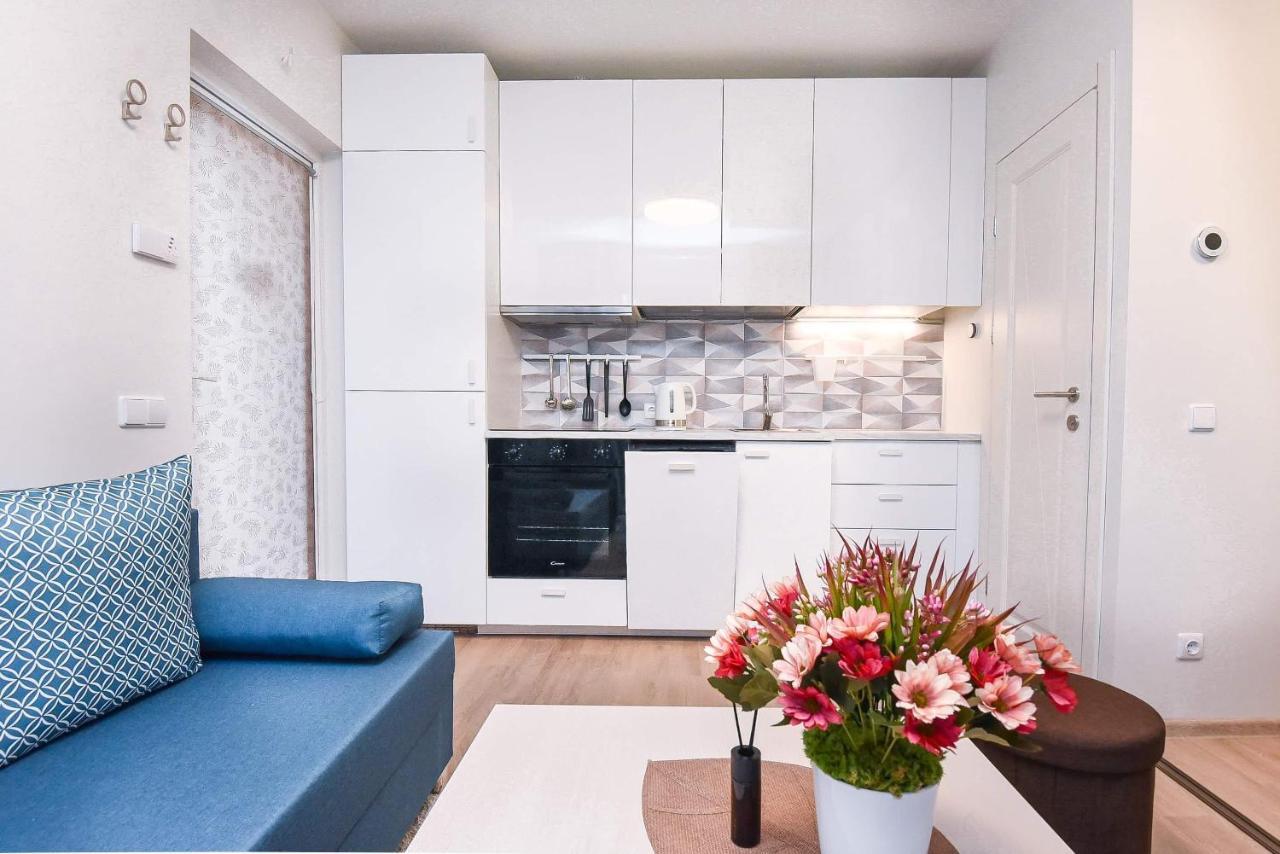 Cozy Vaivorykstes Apartment 帕兰加 外观 照片
