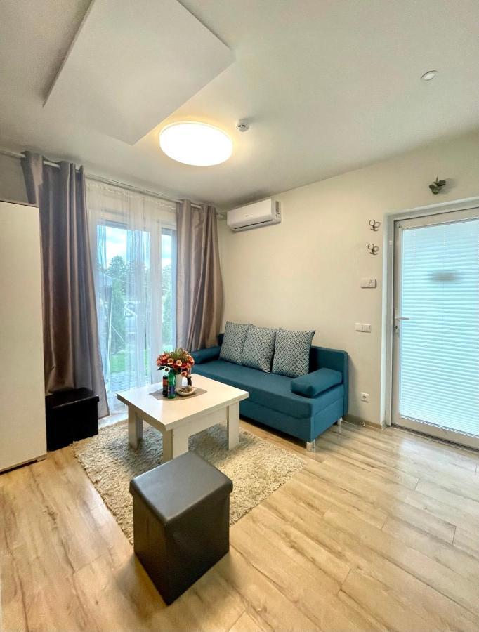 Cozy Vaivorykstes Apartment 帕兰加 外观 照片